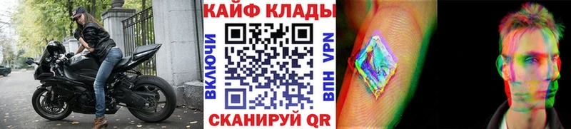МЕФ Тамбов