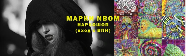 apvp Алзамай