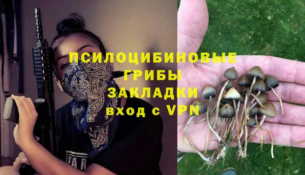 apvp Алзамай