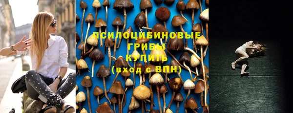 2c-b Алексин